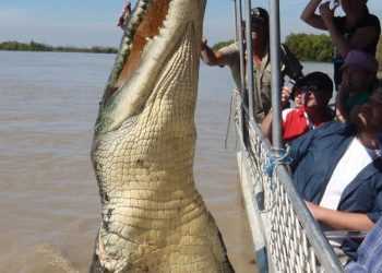 Гігантський триногий крокодил