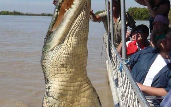 Гігантський триногий крокодил
