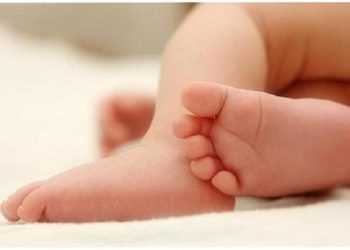 У Запоріжжі було знайдено труп немовляти в сміттєвому баці