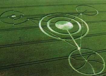 Фізики спробували пояснити природу кіл на полях