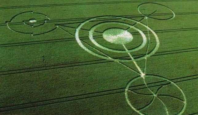 Фізики спробували пояснити природу кіл на полях