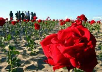 У Ріо-де-Жанейро з'явився «Сад смерті»