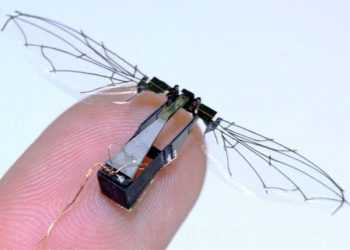 Конкурс Битва роботів В Японії. Відео