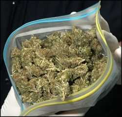 В Одесі інспектори ДАІ затримали автомобіль з коноплею