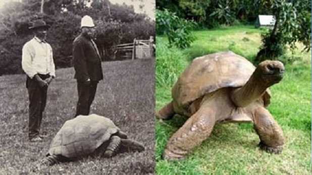 Найстарішому жителю планети Земля 178 років