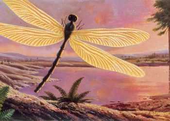 Що породило стародавніх гігантських комах?