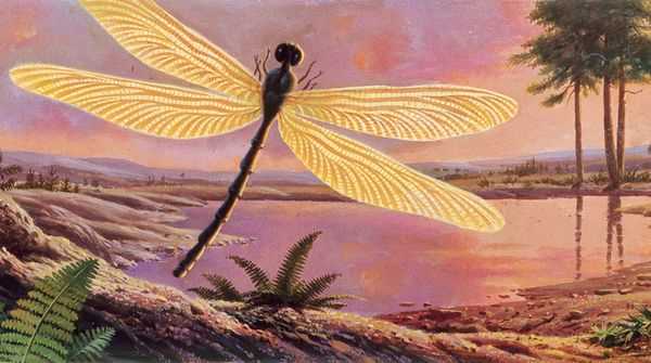 Що породило стародавніх гігантських комах?