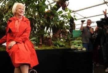 Топ-10 жіночого рейтингу кращих тіл