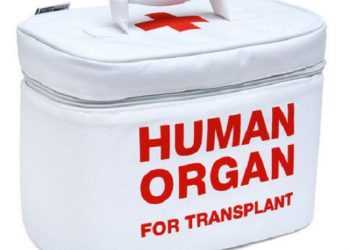 В авіакатастрофі уцілів донорський орган