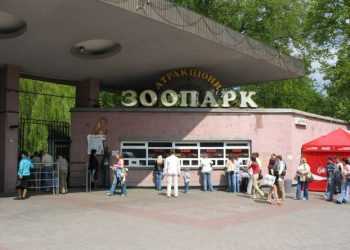 Тварини влаштували масову втечу з київського зоопарку