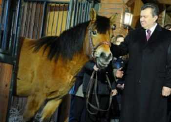 Януковичу в Туркменістані подарували елітного коня