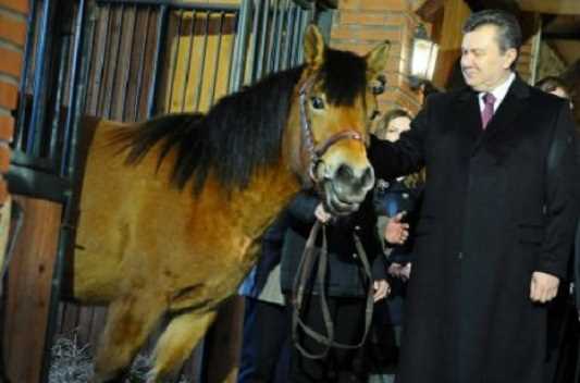 Януковичу в Туркменістані подарували елітного коня