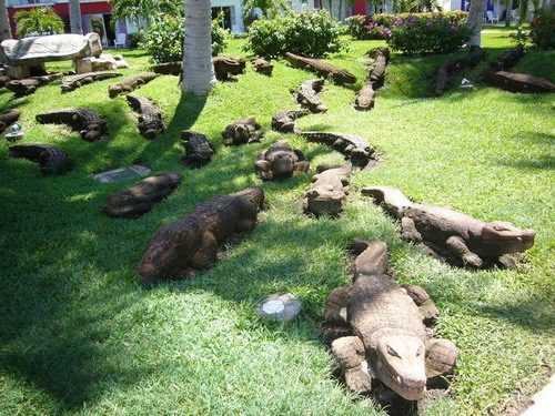 У Таїланді з ферми втекли крокодили