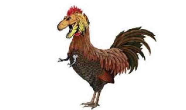 Курчанозавру не дозволили вилупитися