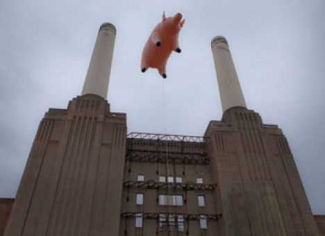 Гігантська свиня пролетіла над Лондоном