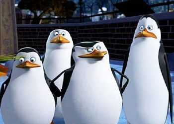 Оголошено про початок робіт над мультфільмом про пінгвінів з «Мадагаскару»