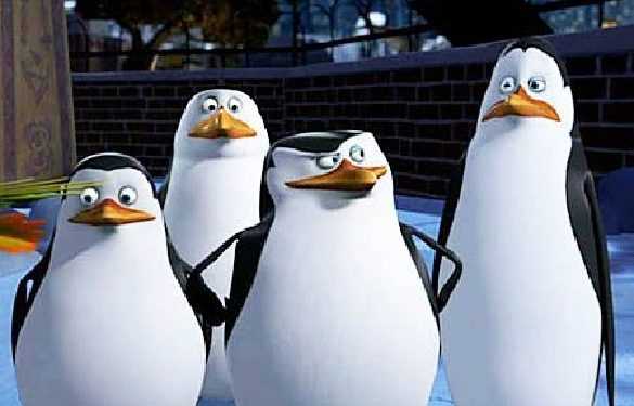 Оголошено про початок робіт над мультфільмом про пінгвінів з «Мадагаскару»