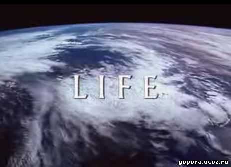 Американці можливо знайшли у космосы життя