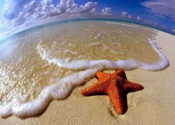 Британські вчені назвали найнудніший день XX століття