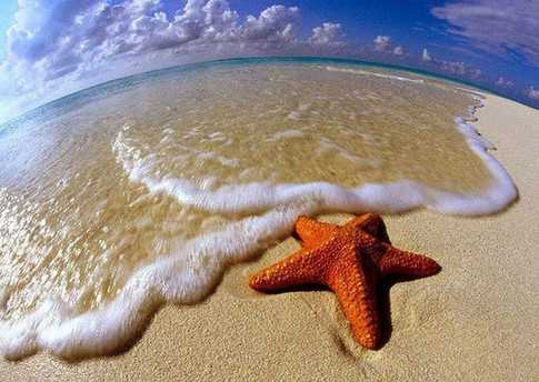 Британські вчені назвали найнудніший день XX століття