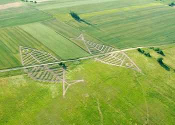 Гігантські риби на кордоні Польщею та Україною