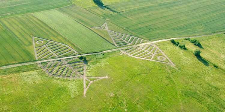 Гігантські риби на кордоні Польщею та Україною