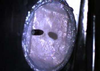 Вчені змінили людську шкіру таким чином, що вона може зупиняти кулі