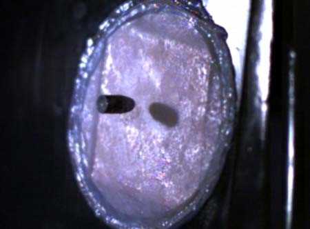 Вчені змінили людську шкіру таким чином, що вона може зупиняти кулі