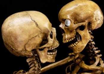 Скелети в автомобілі знайшли в річці на Рівненщині