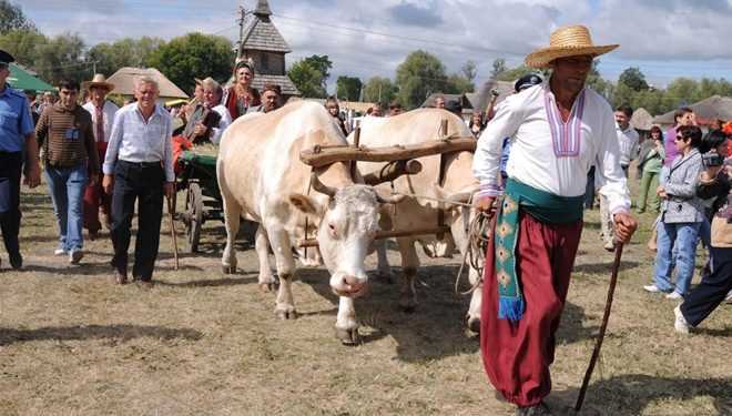 Полтавщина хоче нагодувати Московську область і заробити сама