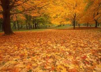 Метеорологи обіцяють в Україні теплу зиму