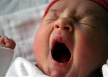 Позіхання охолоджує мозок