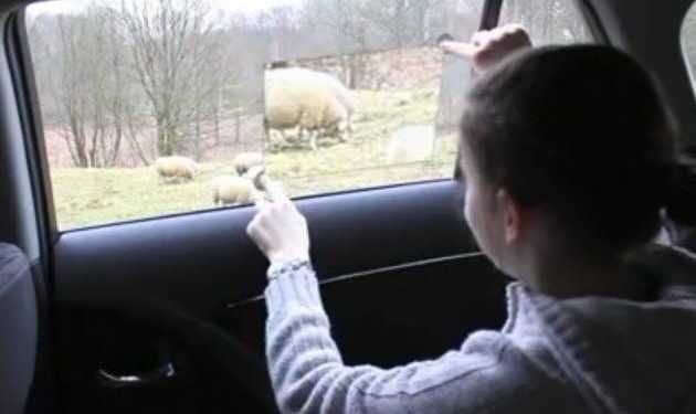 Бокове вікно у світ