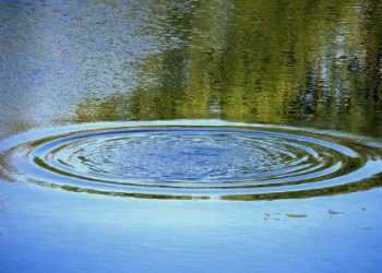 Пасажири потонули в ріці разом з автомобілем