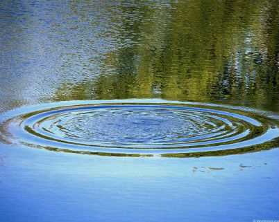 Пасажири потонули в ріці разом з автомобілем