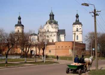 В Бердичеві водій побив пасажира через прохання зупинити автобус
