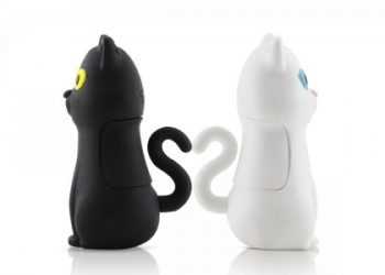 Bone Cat Driver — чарівні котики