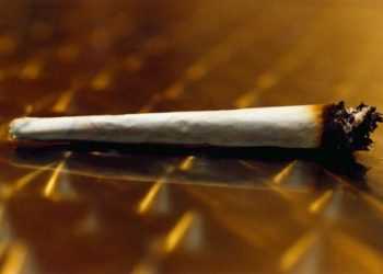 У Голландії хочуть заборонити іноземцям споживати легкі наркотики