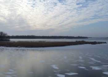 СБУ покарає чиновника, що продавав острови