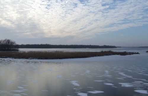 СБУ покарає чиновника, що продавав острови