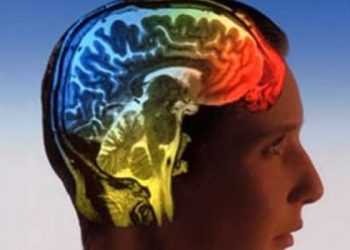 IBM створює цифрову копію людського мозку