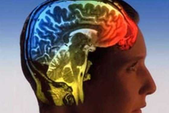 IBM створює цифрову копію людського мозку