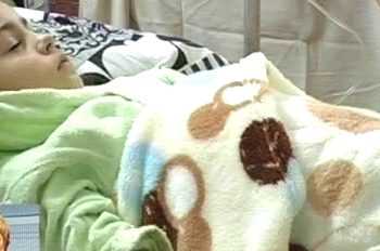 Краснодонські гімназисти стали жертвами стафілокока, переносником якого був повар