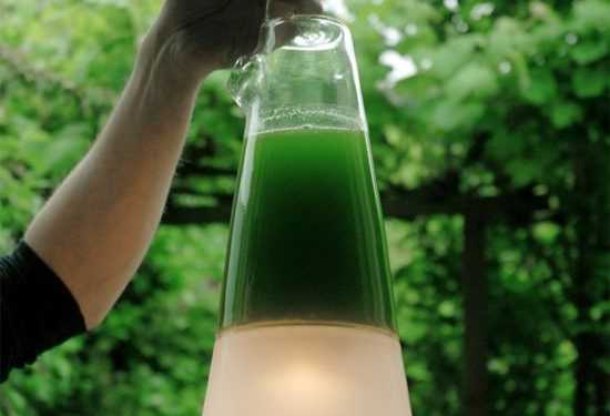 Живе світло без електрики: Енергія дихання