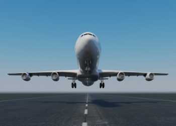 Літак «Сімферополь – Санкт-Петербург» не долетів через пташку