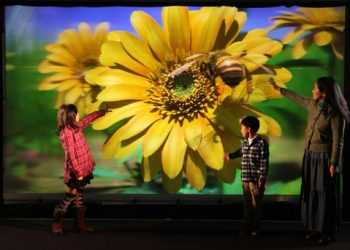 Найбільший 3D-екран