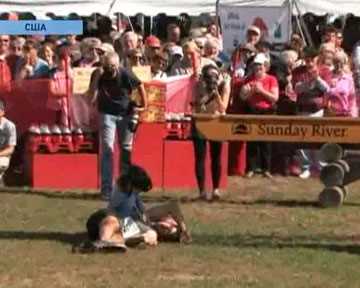 Веселий спорт. Сімейні смагання