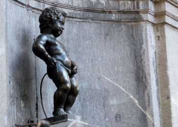 Сечовий міхур - орган, який допомагає думати