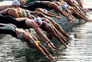Кубок світу з плавання на відкритій воді