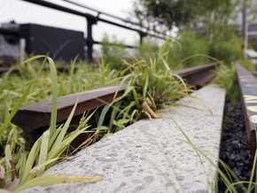 В Одеській області під колеса товарняка потрапила 9-річна дівчинка